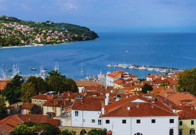 PROJEKT PROMO ISTRA V PODPORO LOKALNIM PODJETNIKOM: Zagotavlja bogatej&scaron;o ponudbo, večji obisk in potro&scaron;njo
